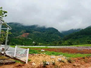 Alternative view of Đất Nền F0 Đẹp Mộng Mơ Sẵn Sổ Sẵn Thổ Chỉ từ 4xx triệu