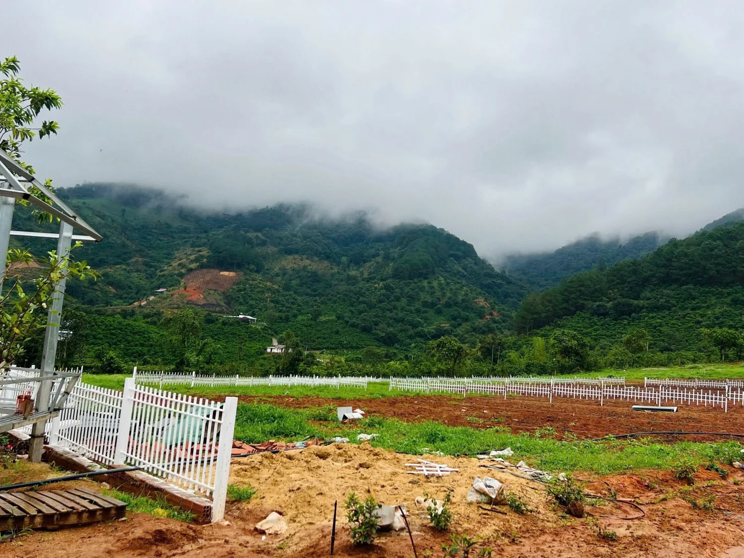 Đất Nền F0 Đẹp Mộng Mơ Sẵn Sổ Sẵn Thổ Chỉ từ 4xx triệu